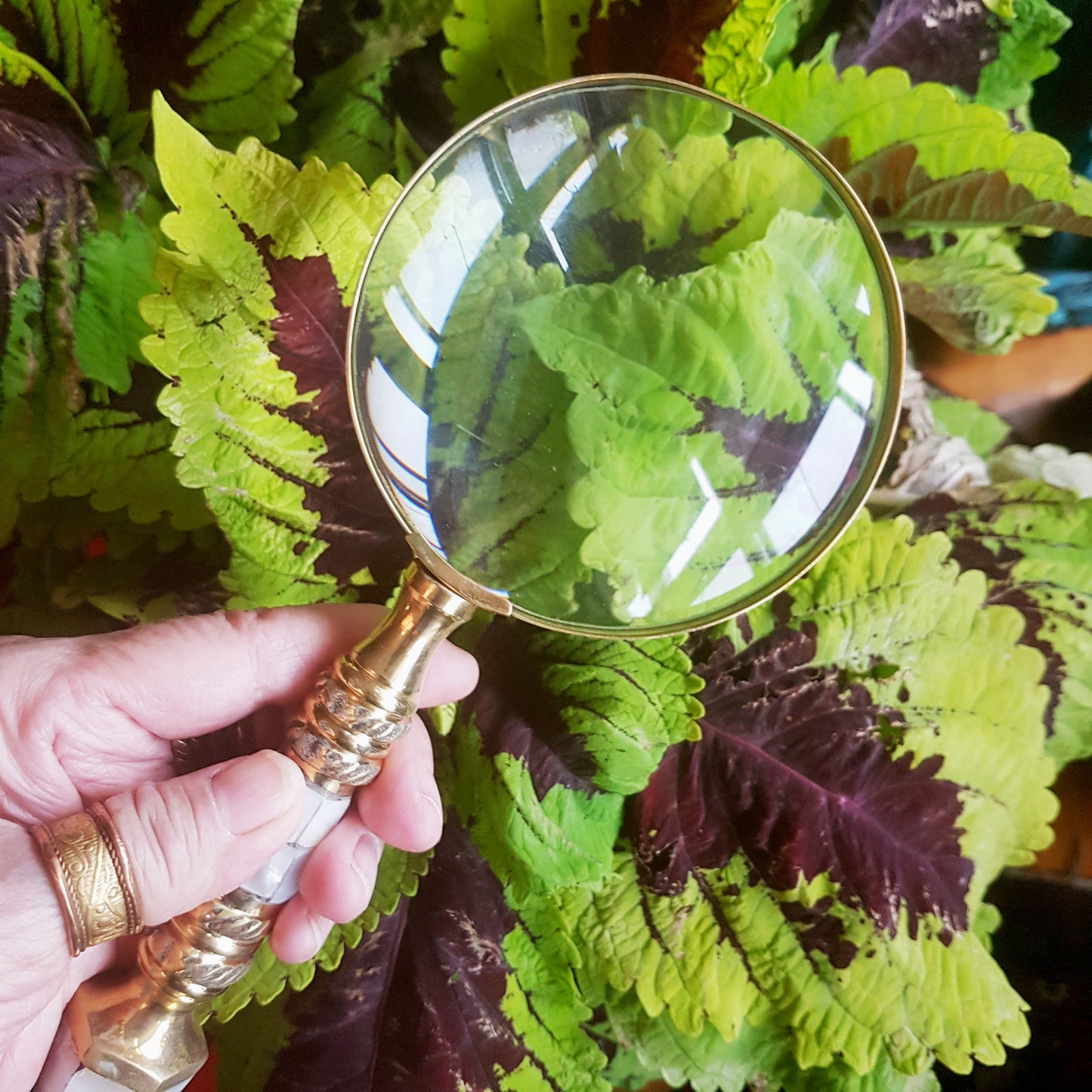 Vintage magnifying glass hand lens in antique brass design. Old world charm. Read small print easily, use for home & hobby. Photos stamps.